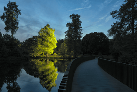 Adrian Houston london luxury photographer- Kew Gardens, The Montezuma Bald Cypress